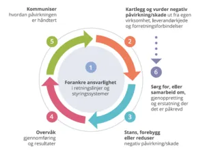 Sirkeldiagram over trinnene i en aktsomhetsvurdering etter OECDs veileder